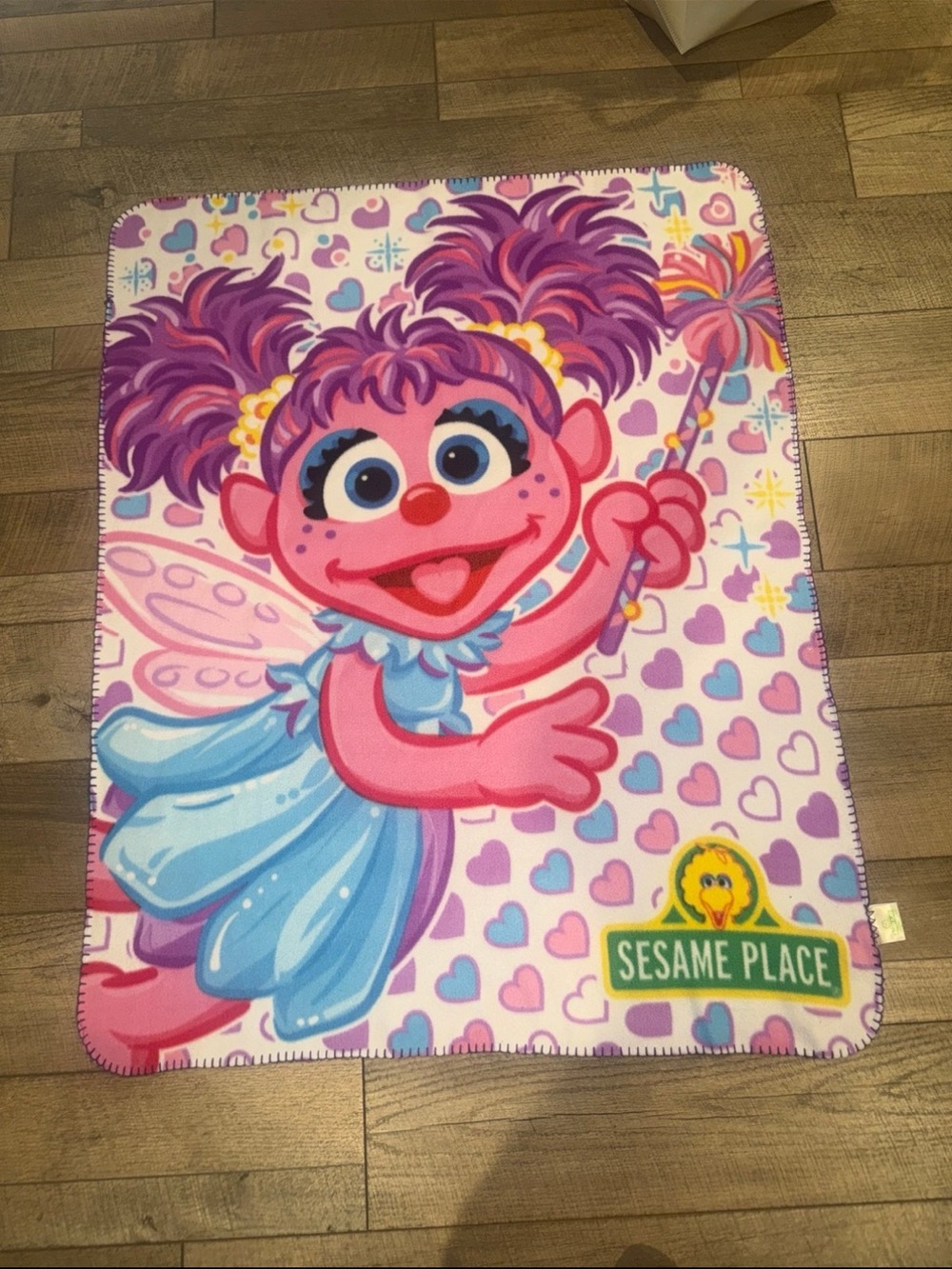 Sesame Street Pink & Purple Abby Cadabby Kids Throw Blanket